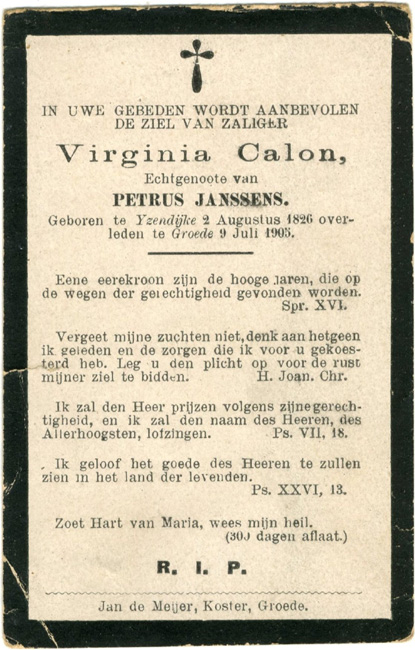 Virginia Calon