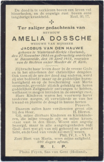 Amelia Dossche