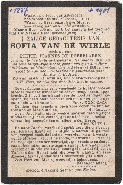 Sofia Van De Wiele