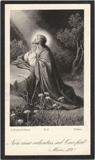 Leonardus Ludovicus Bonte