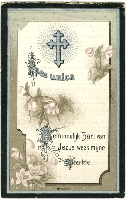 Amelia De Smet