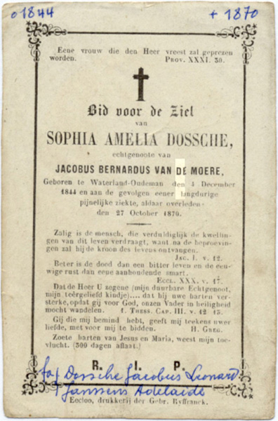 Sophia Amelia Dossche