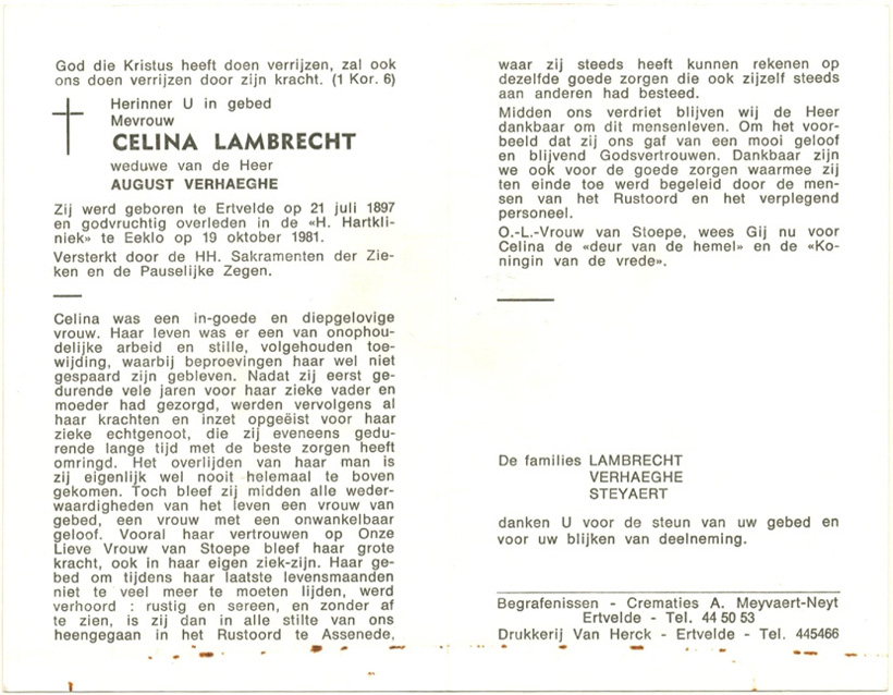 Celina Lambrecht