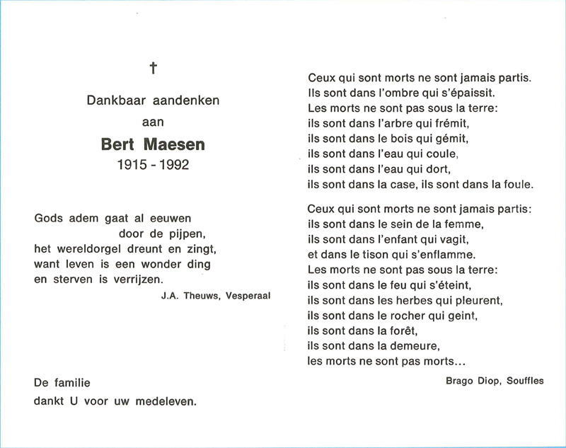 Bert Maesen