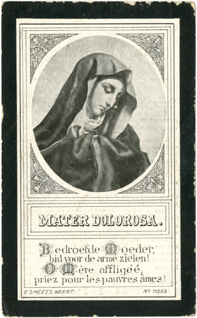Petrus Steijaert