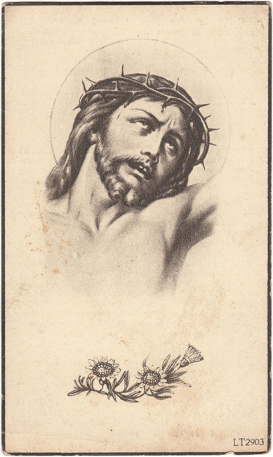 Petrus Joannes Van Damme