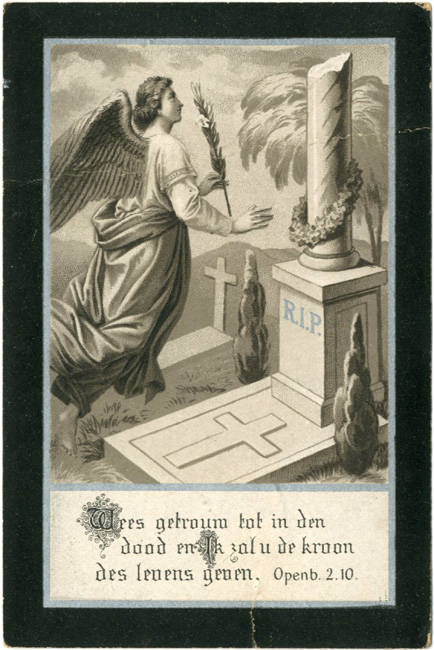 Sophia Van Der Veere
