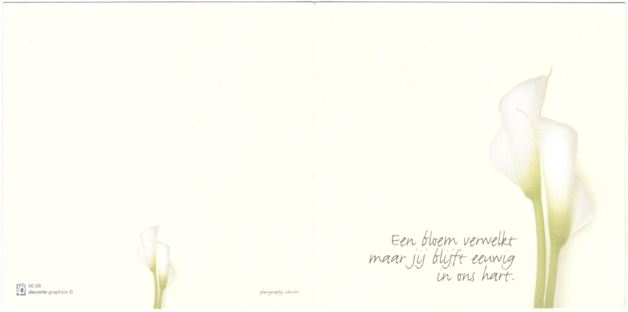 Maria Van Holle