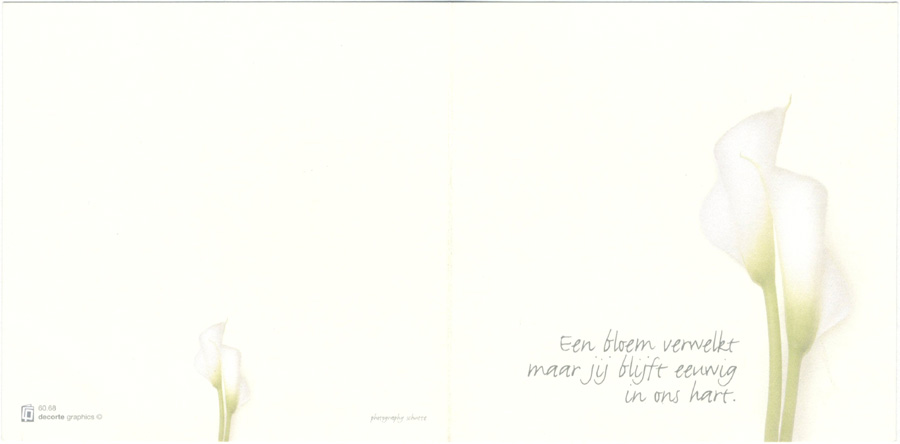 Maria Van Hulle