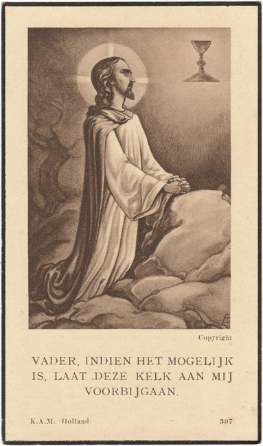 Leonardus Fredericus van Pamelen