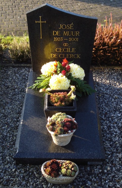 Het graf van José De Muur