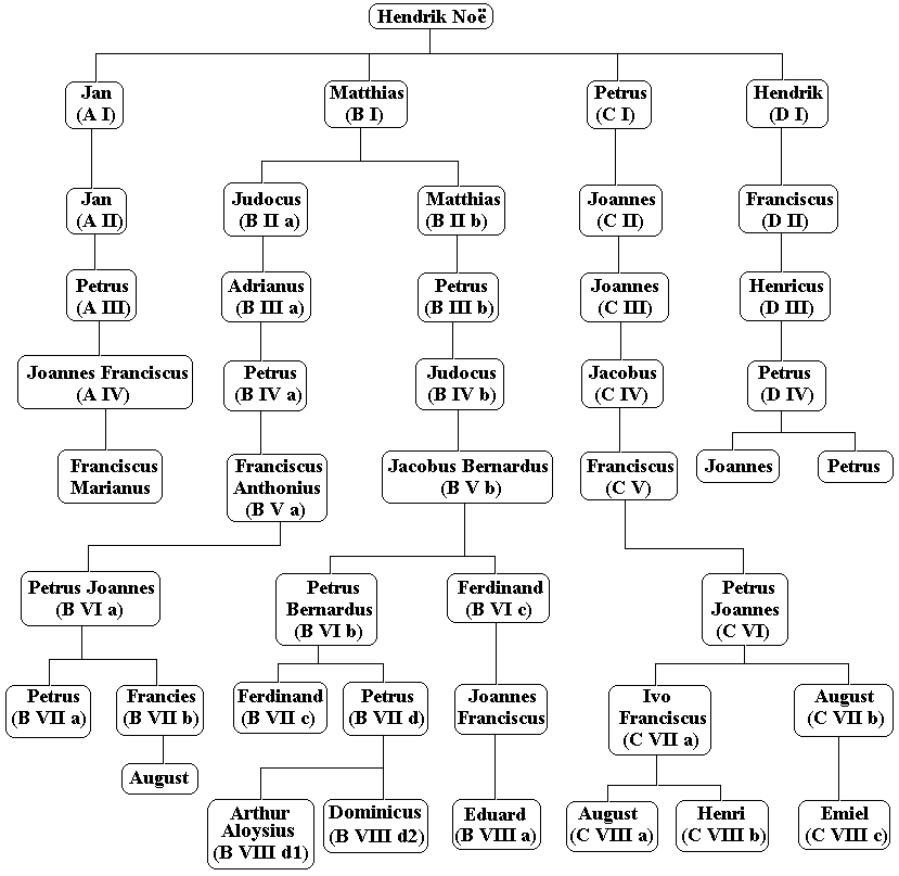 algemeen overzicht