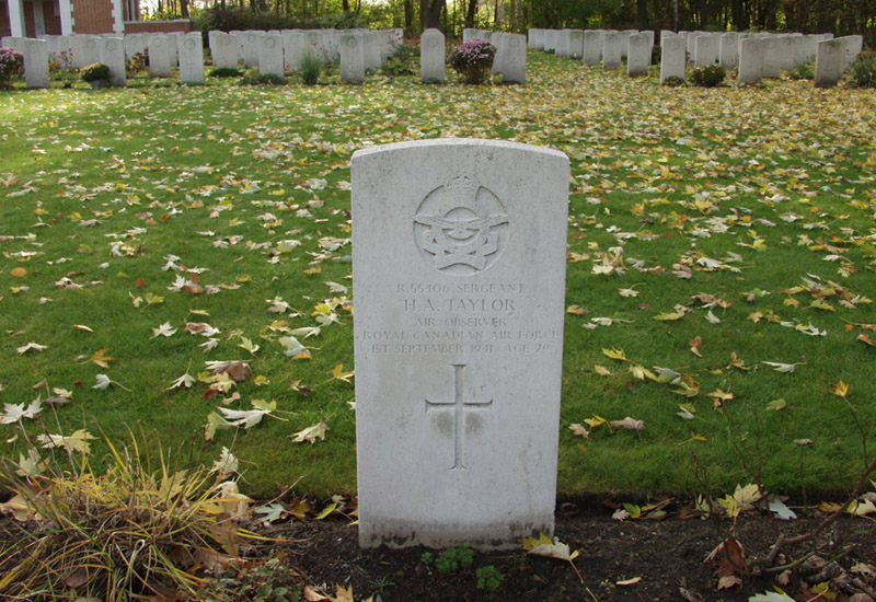 Harald Alvan Taylor