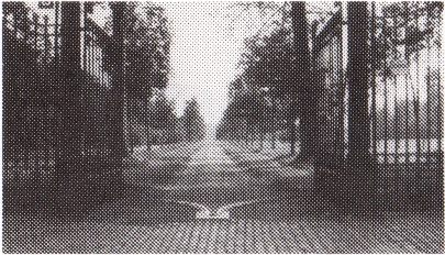 Dreef naar het Kasteel Bousies-Borluut