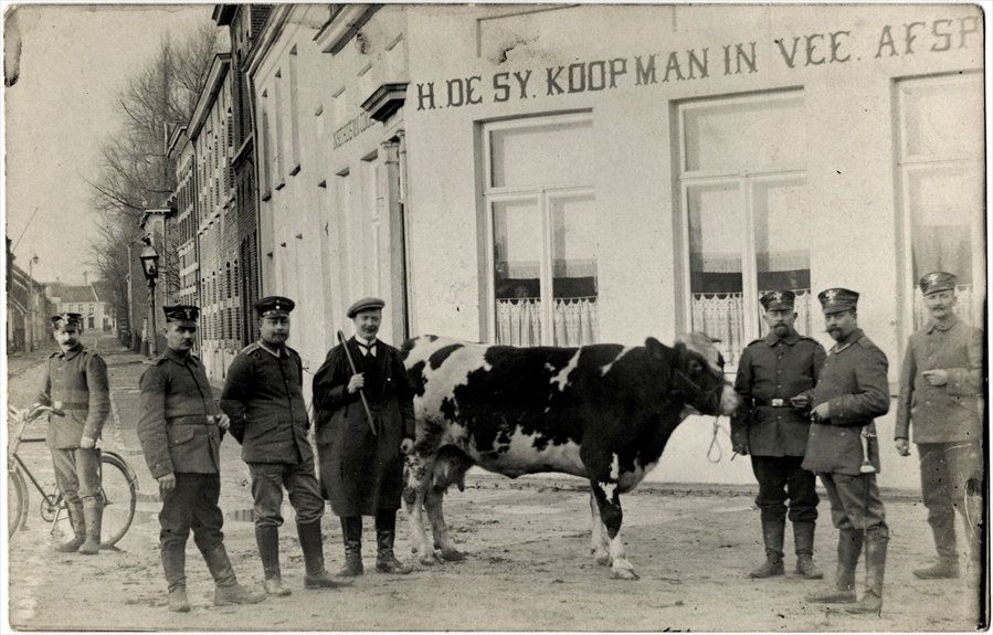 Zeven heren, waarvan zes militairen, en een koe voor de afspanning van H. De Sy