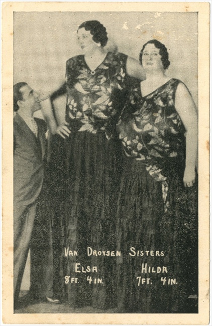 Van Droysen Sisters, Elsa en Hilda