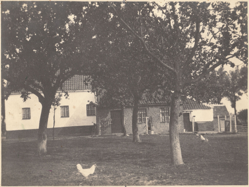 Ren Daeninck's farm