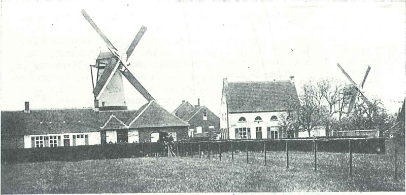 De molens van de Katerhoek