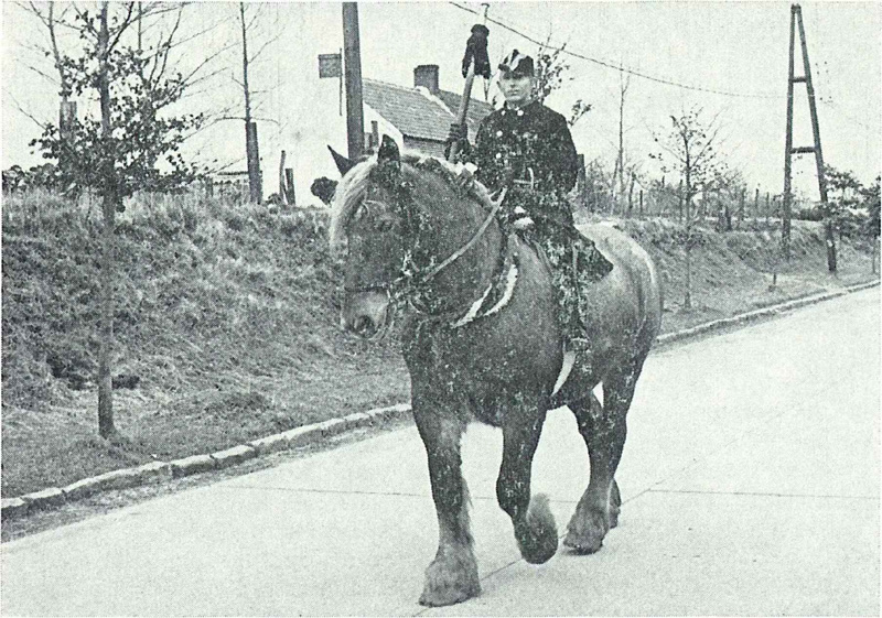 Raymond De Vos, de baljuw en suisse