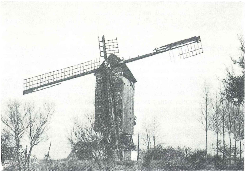 De Westermolen omstreeks 1965