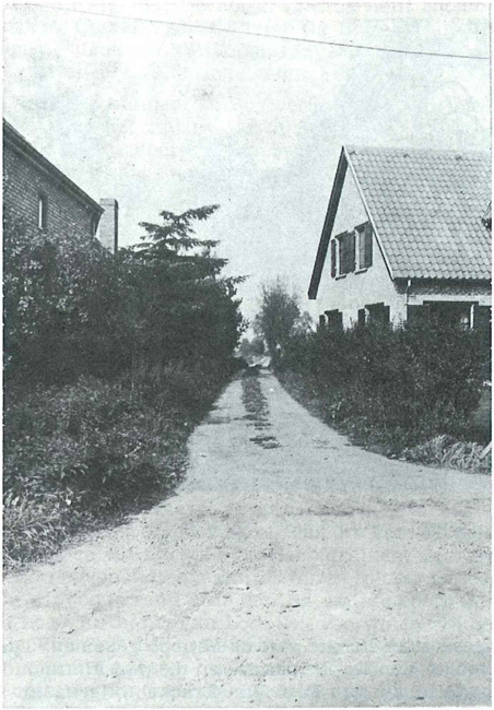 De Bijleve