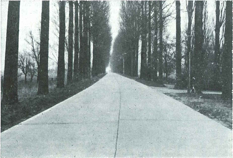 De Blekkersdijk