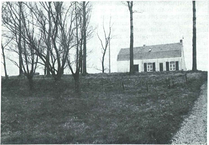 De Mollekotsdijk