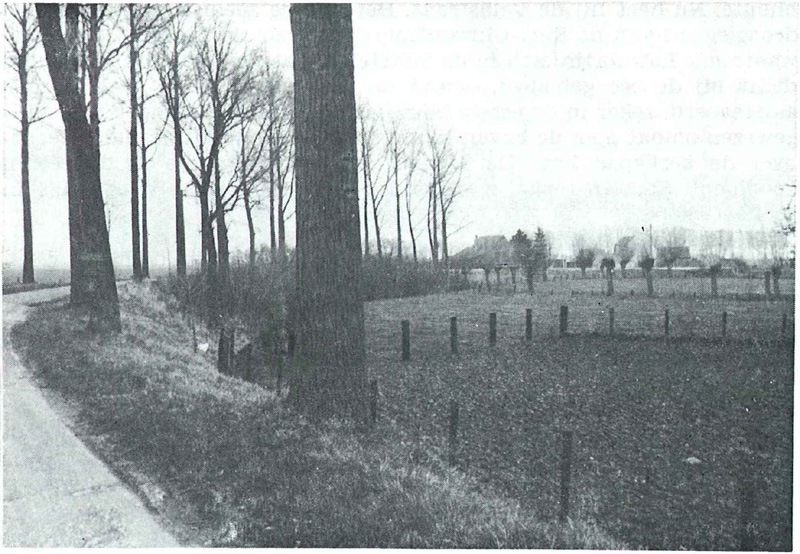 De Calusdijk