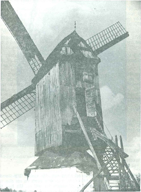 De Pietendriesmolen in 1961