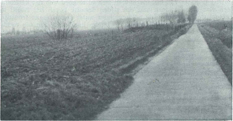 De nooddijk langs Staten Bodem