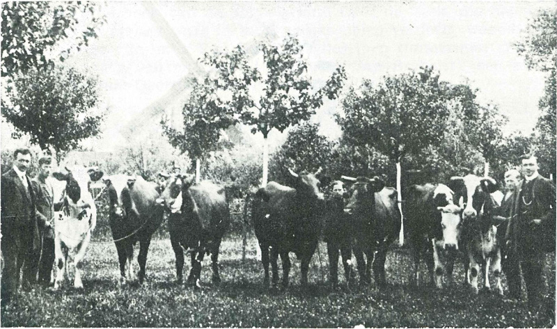 In de boomgaard van de familie Pattyn