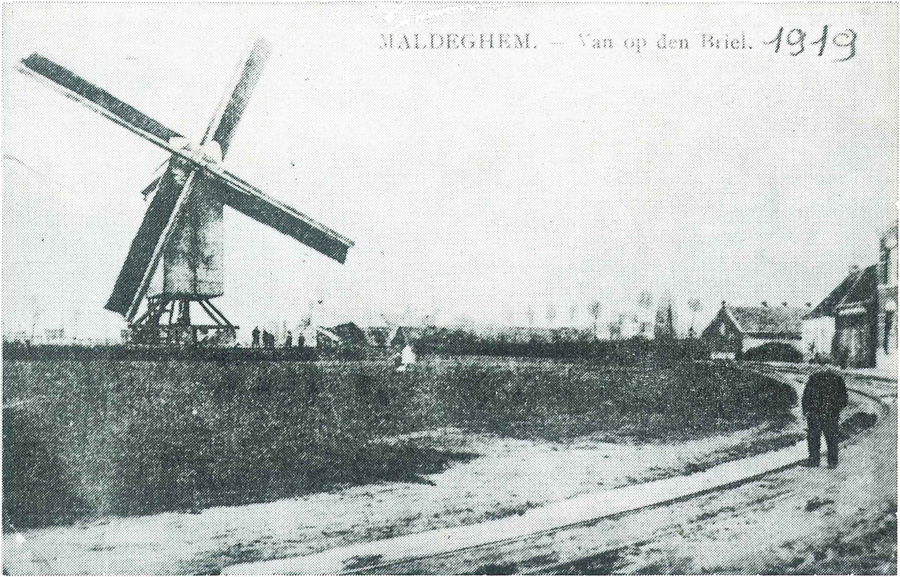 De houten windmolen van op de Briel in 1919