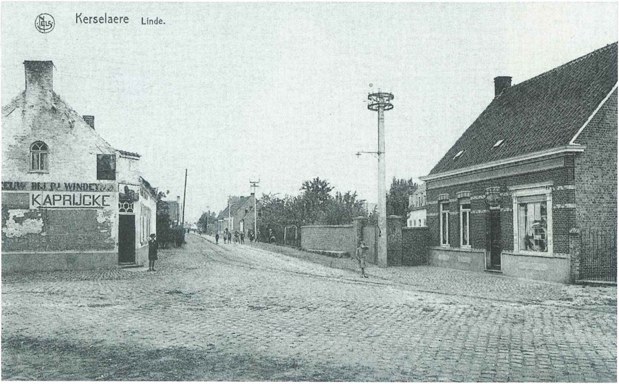 Kerselaere Linde